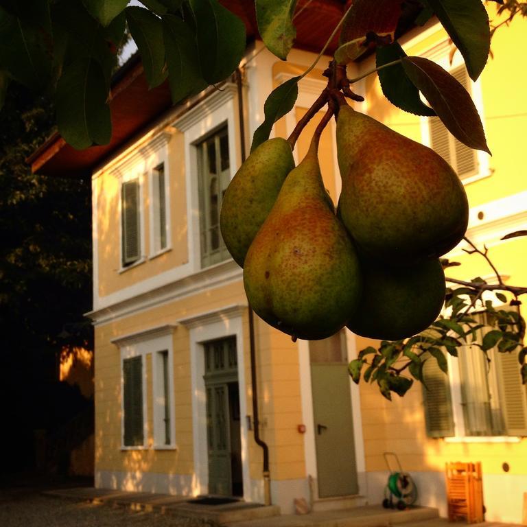 Villa D'Azeglio Albiano dʼIvrea Dış mekan fotoğraf