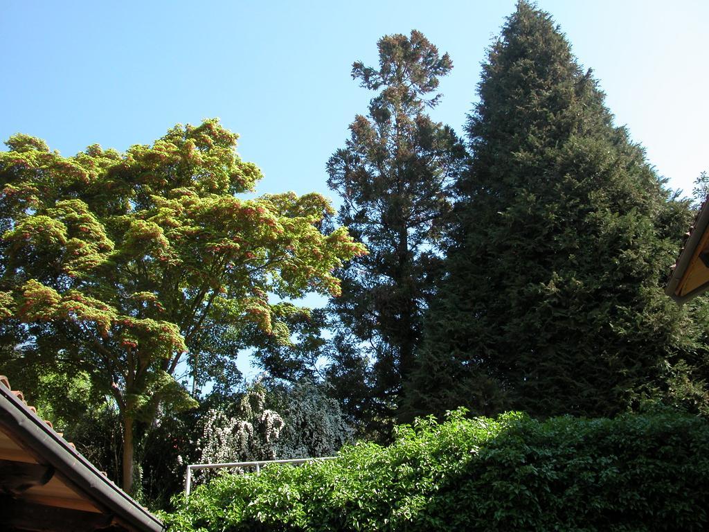 Villa D'Azeglio Albiano dʼIvrea Dış mekan fotoğraf